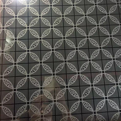 309S grabó al agua fuerte el elevador automático color plata inoxidable de la hoja de acero decorativo