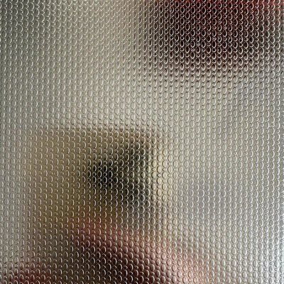 Buen precio 1.0MM Patrón de corteza de gusano Hojas de acero inoxidable Placas duraderas SS acabado de lino en relieve bobina para ascensor en línea