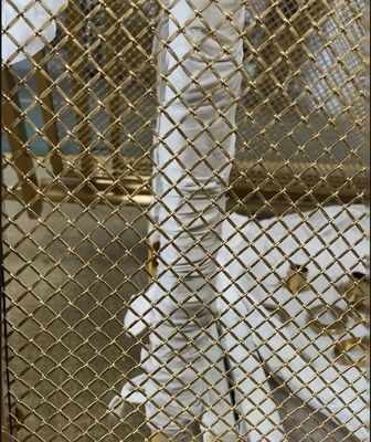 Buen precio Venta al por mayor en el mercado 201/316 Imitación de acero inoxidable de cobre placa cepillada de hotel borde de la escalera / material de faldas Entrega 48 horas en línea